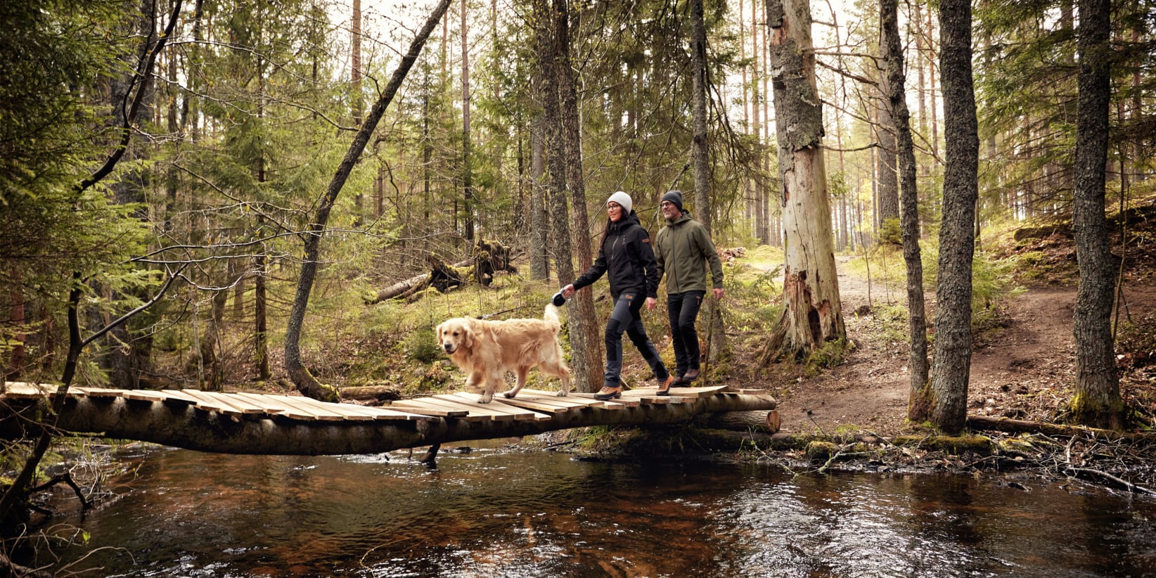 Kultainennoutaja kävelee kahden takkiin ja hattuihin pukeutuneen ihmisen kanssa puisella sillalla auringonvaloisessa metsässä, jossa on korkeita puita.
