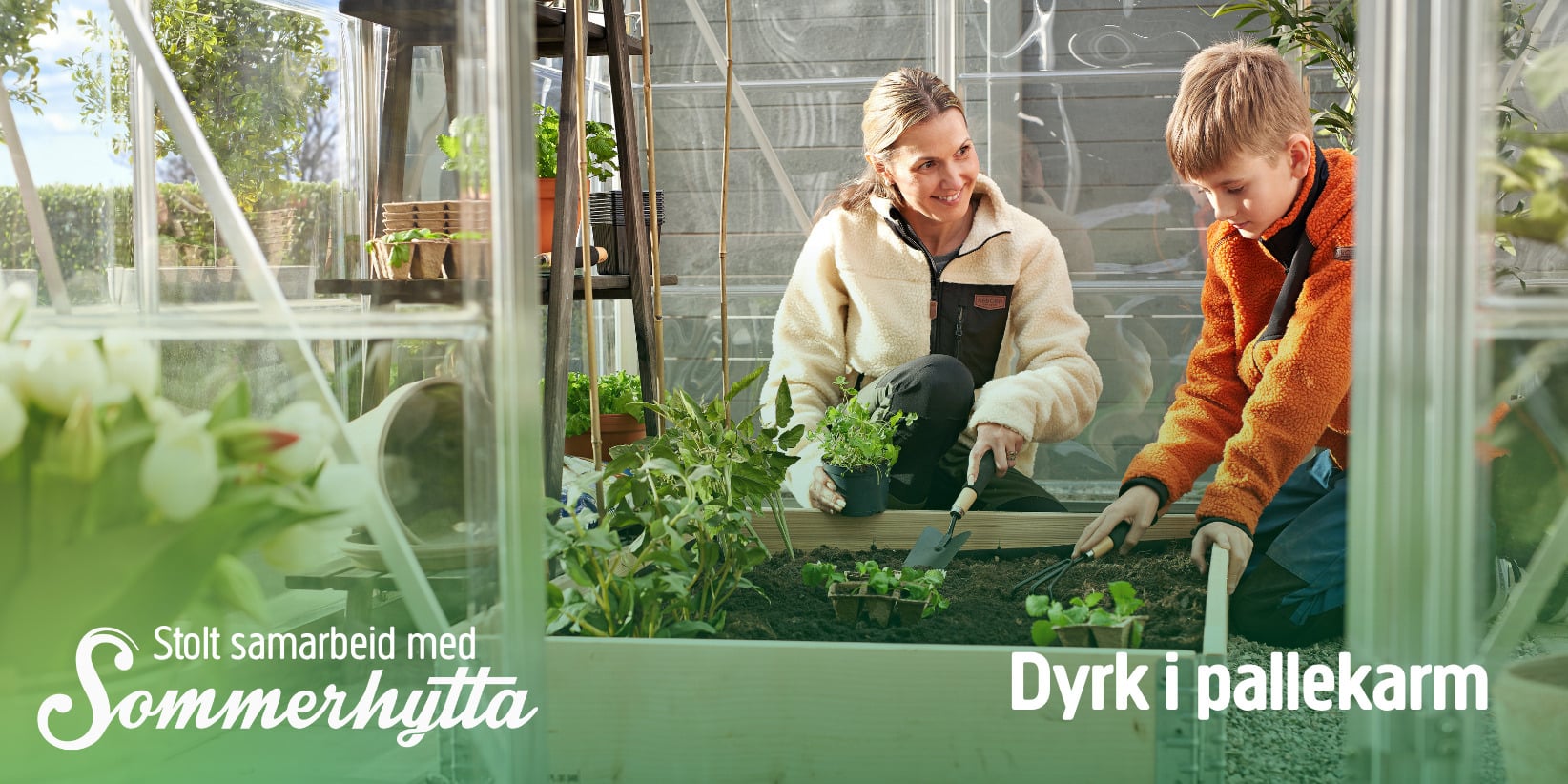 En kvinne og en gutt planter frøplanter sammen i et drivhusbed med små redskaper. Tekst: Sommerhytta: Stolt samarbeid med Sommerhytta. Dyrk i pallerammer.