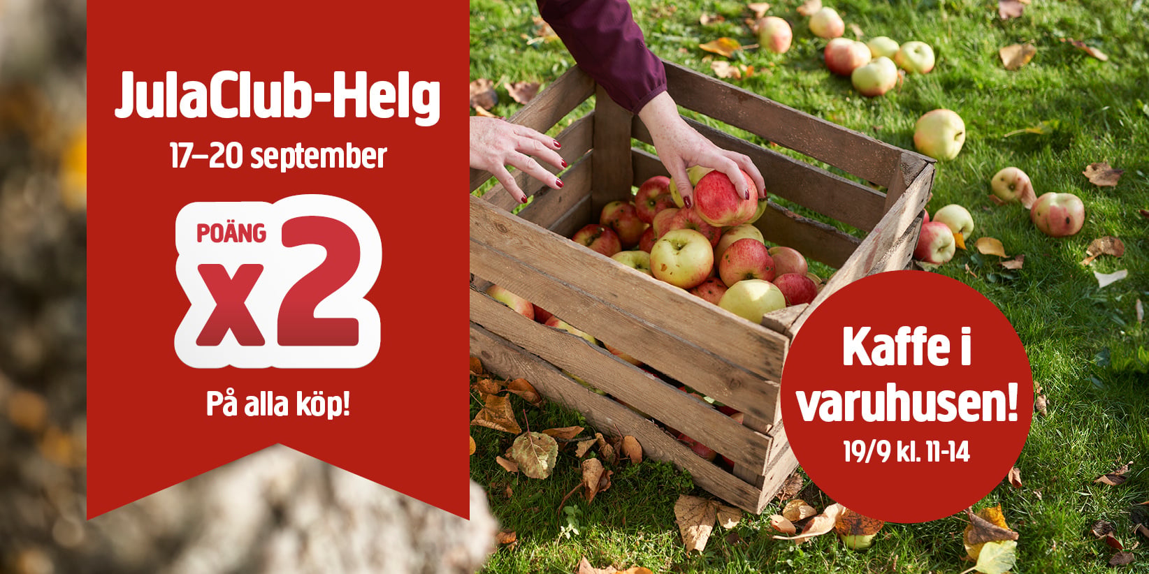 En person lägger äpplen i en trälåda på gräset, där det ligger fler äpplen utspridda. Röda banderoller gör reklam för ett JulaClub-evenemang där man kan få dubbla poäng och gratis kaffe i butikerna den 17–20 september.