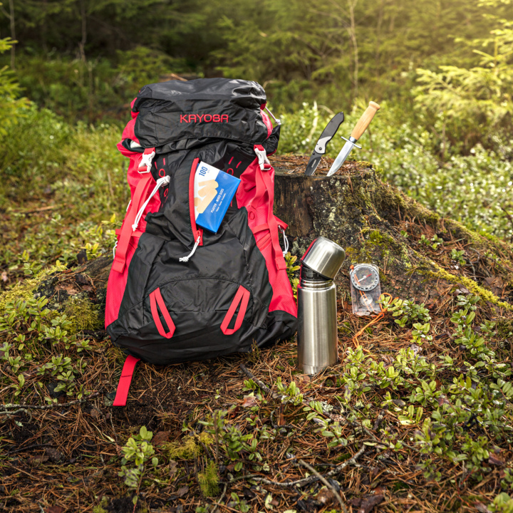 Ein rot-schwarzer Rucksack ruht auf einem Baumstumpf in einem Wald. Darum herum befinden sich eine Karte, ein Messer, eine Thermoskanne mit Becher, ein Kompass und eine Gartenschere. Sonnenlicht strömt durch die üppig grünen Bäume dahinter.