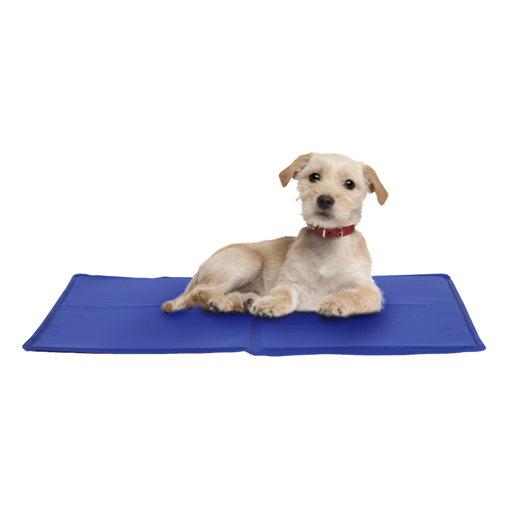Kayoba Kühlmatte Hund