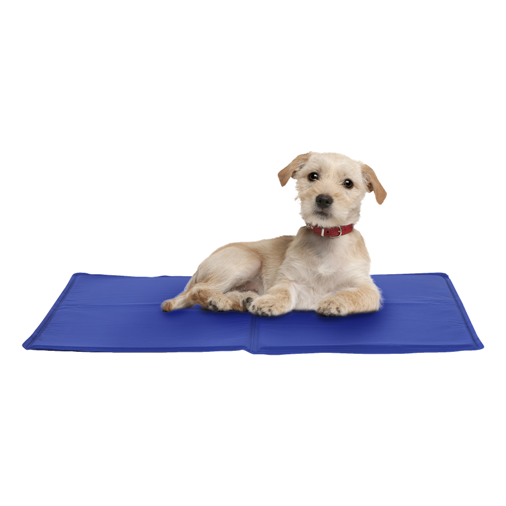 Kayoba Kühlmatte Hund