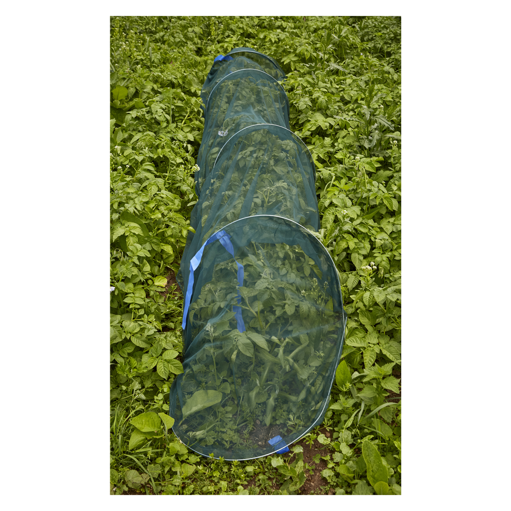 Hard Head Pflanzenschutztunnel