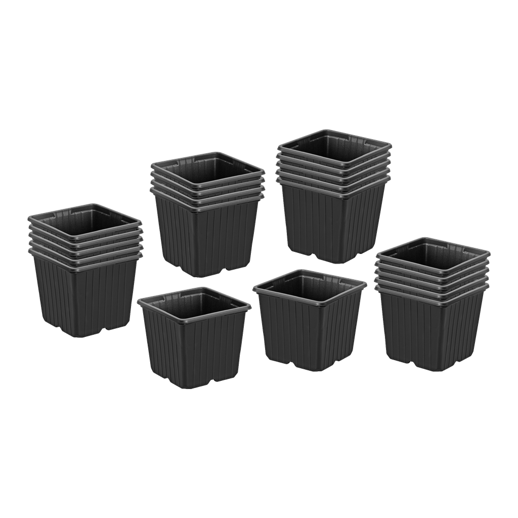 Hard Head Anzuchttopf-Set 20 Stk.