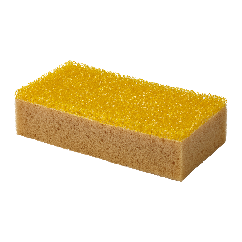Hamron Insektsvamp