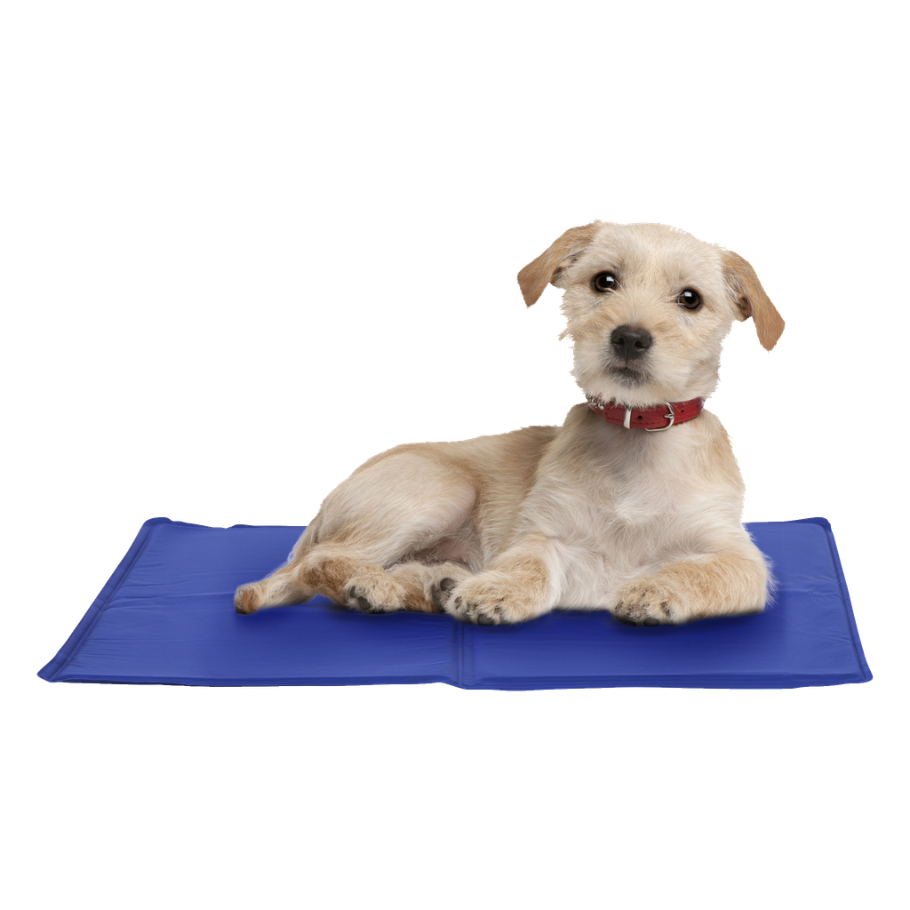Kayoba Kühlmatte Hund