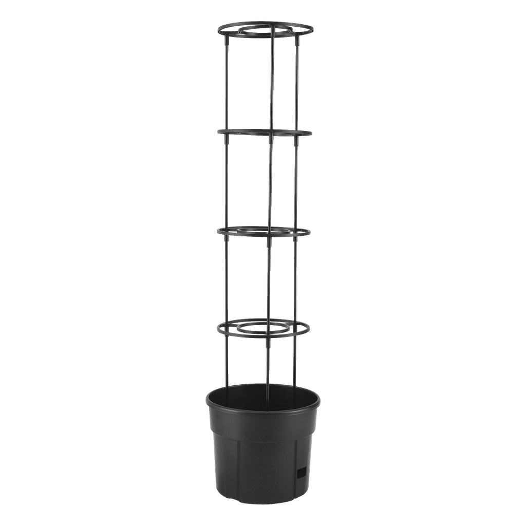 Hard Head Tomaattiruukku