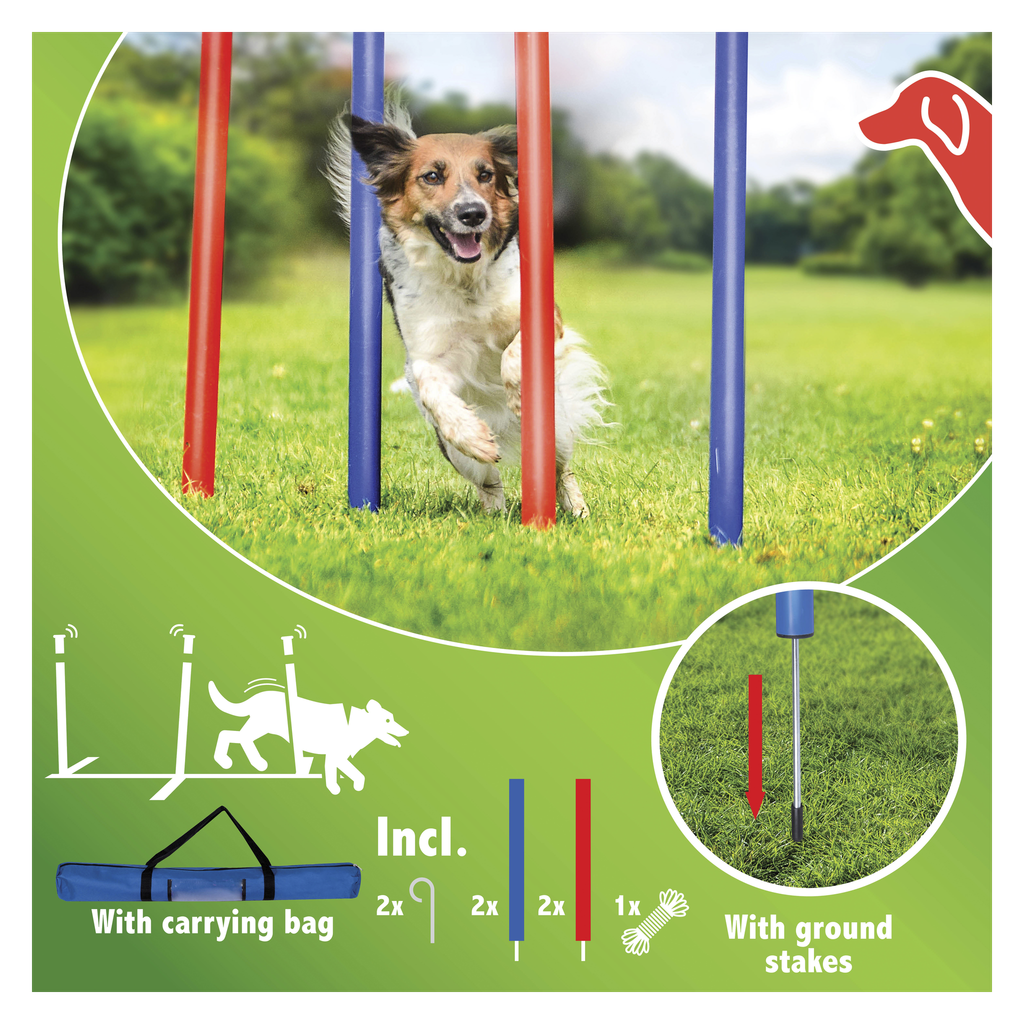 Agility-slalompinnar