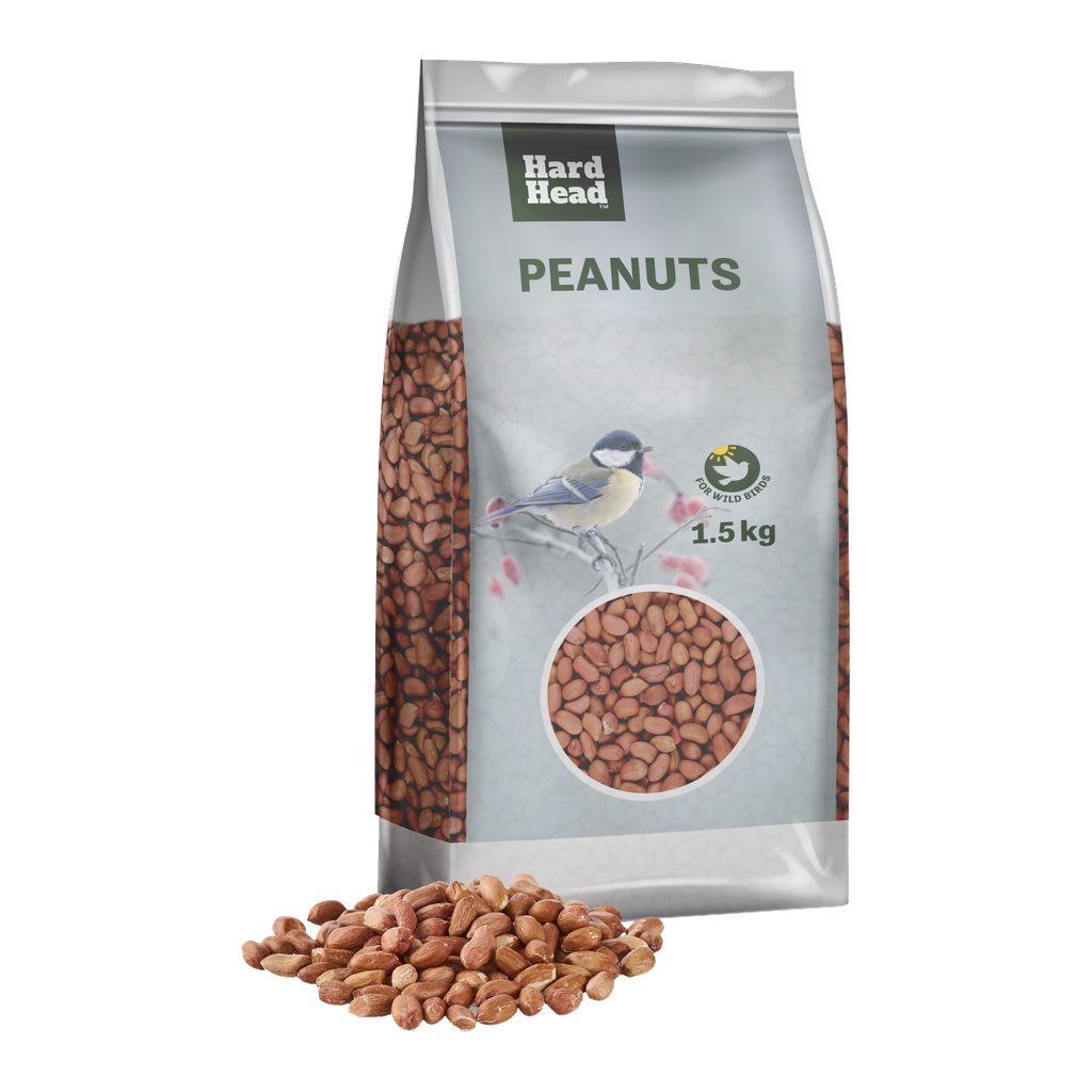 Hard Head Maapähkinät ulkolinnuille