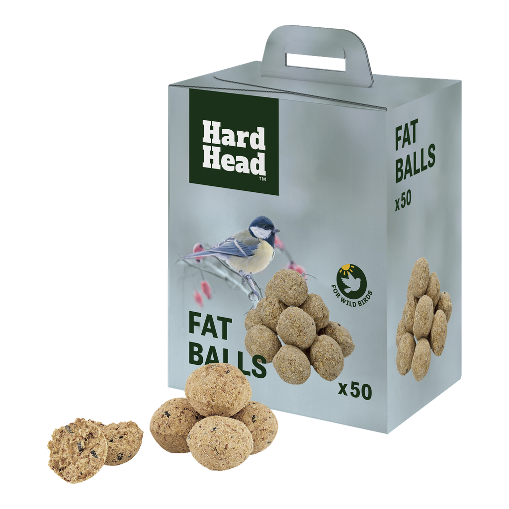 Hard Head Talipallot 50 kpl