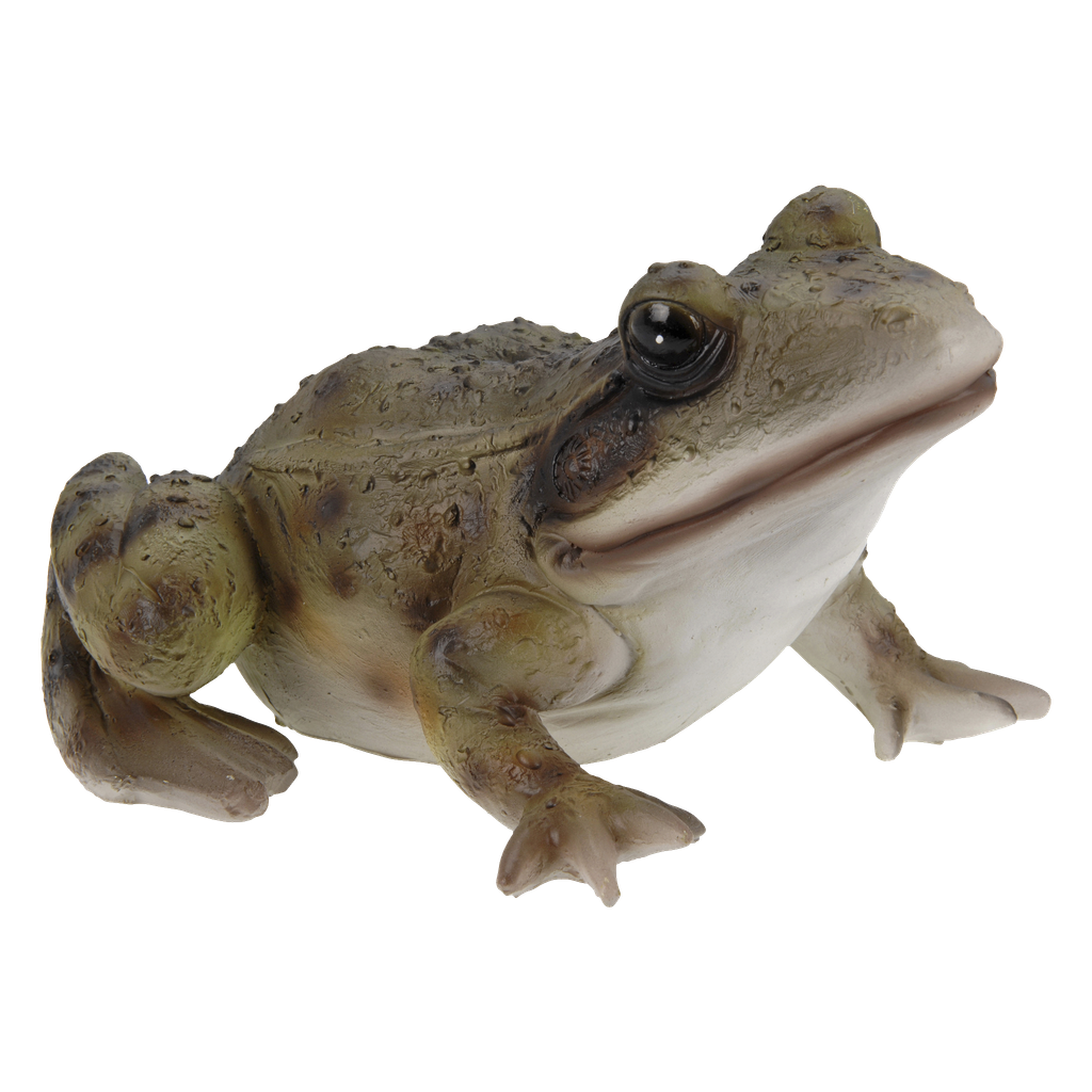 Frosk
