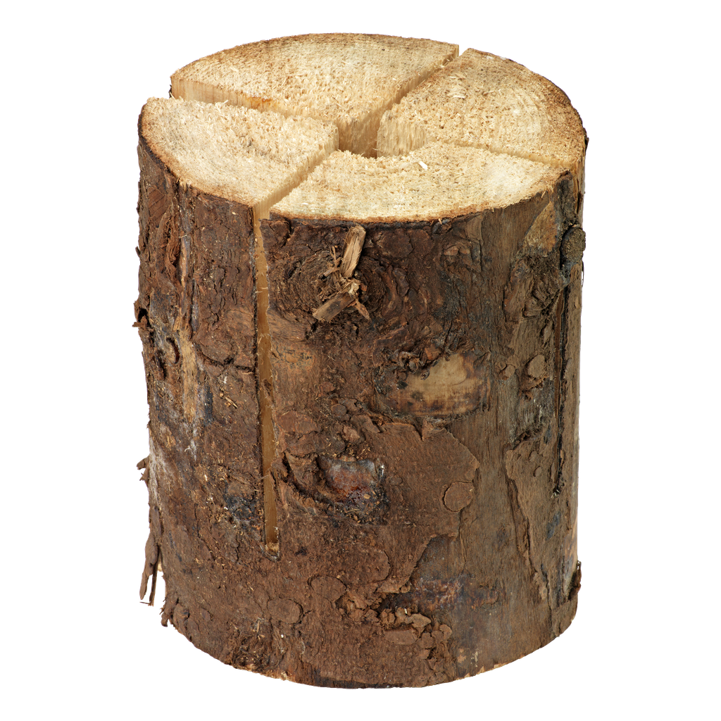 Stubbe