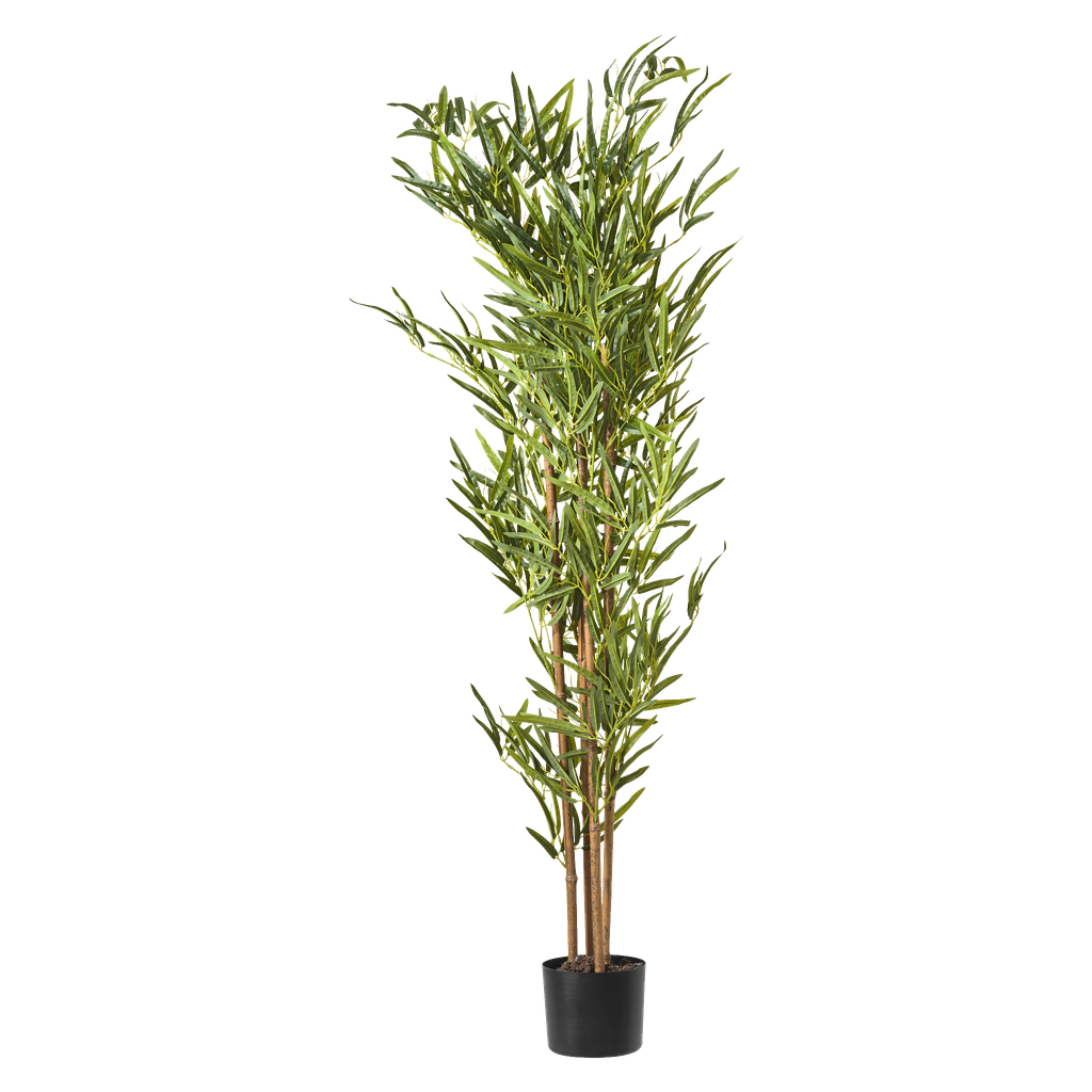 Menuett Künstlicher Bambus