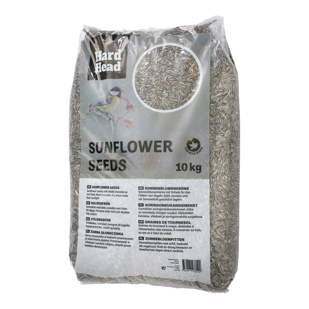 Hard Head Auringonkukansiemenet