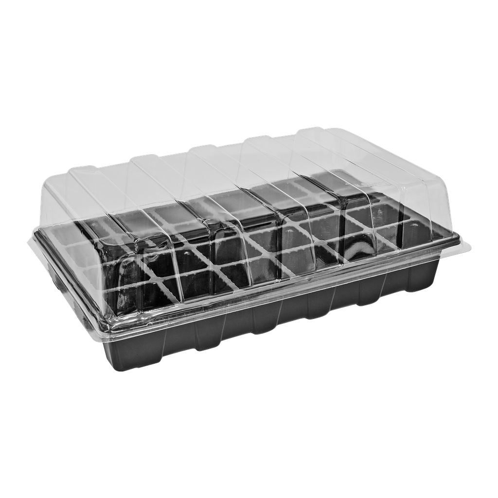 Hard Head Zimmergewächshaus