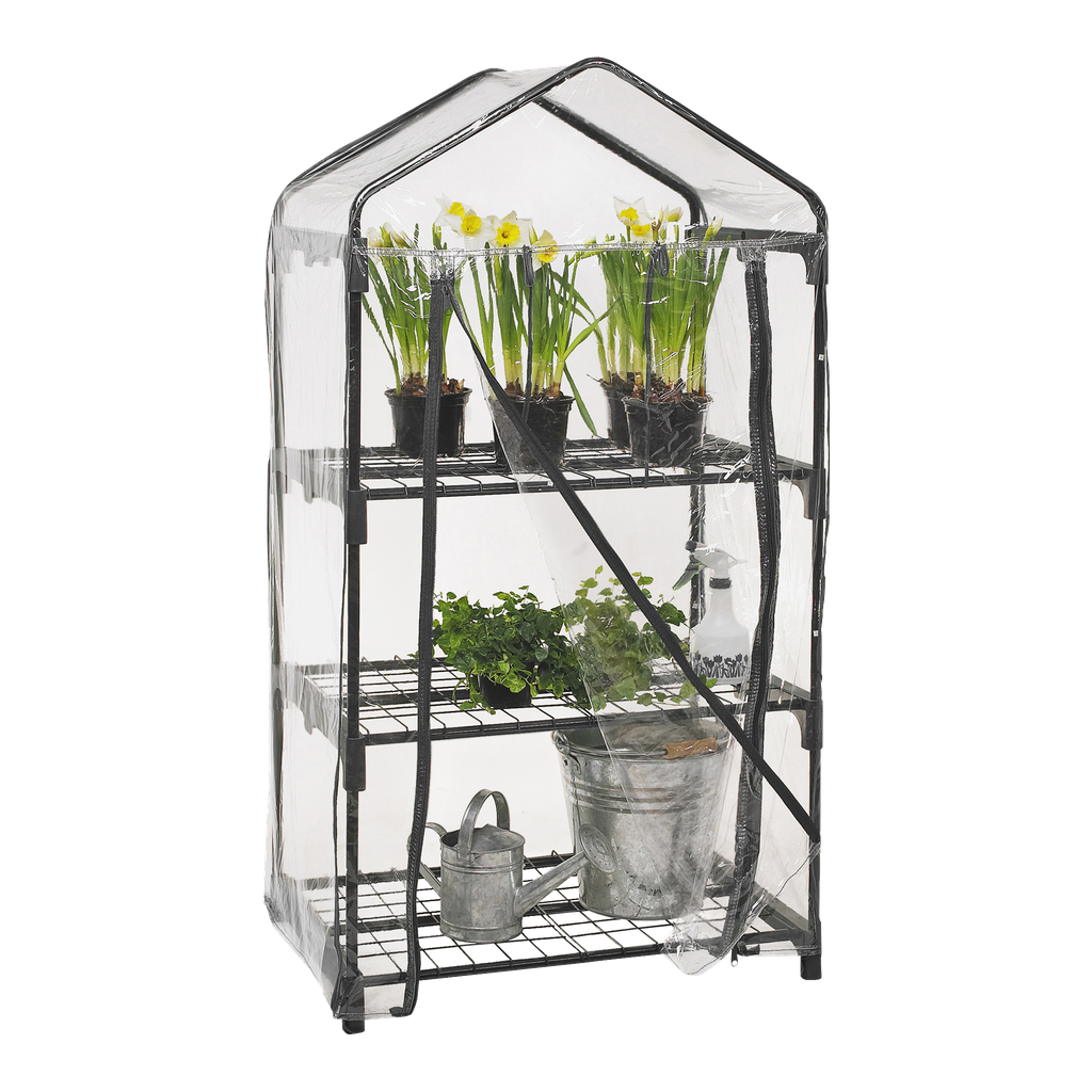 Hard Head Foliengewächshaus mit Regal