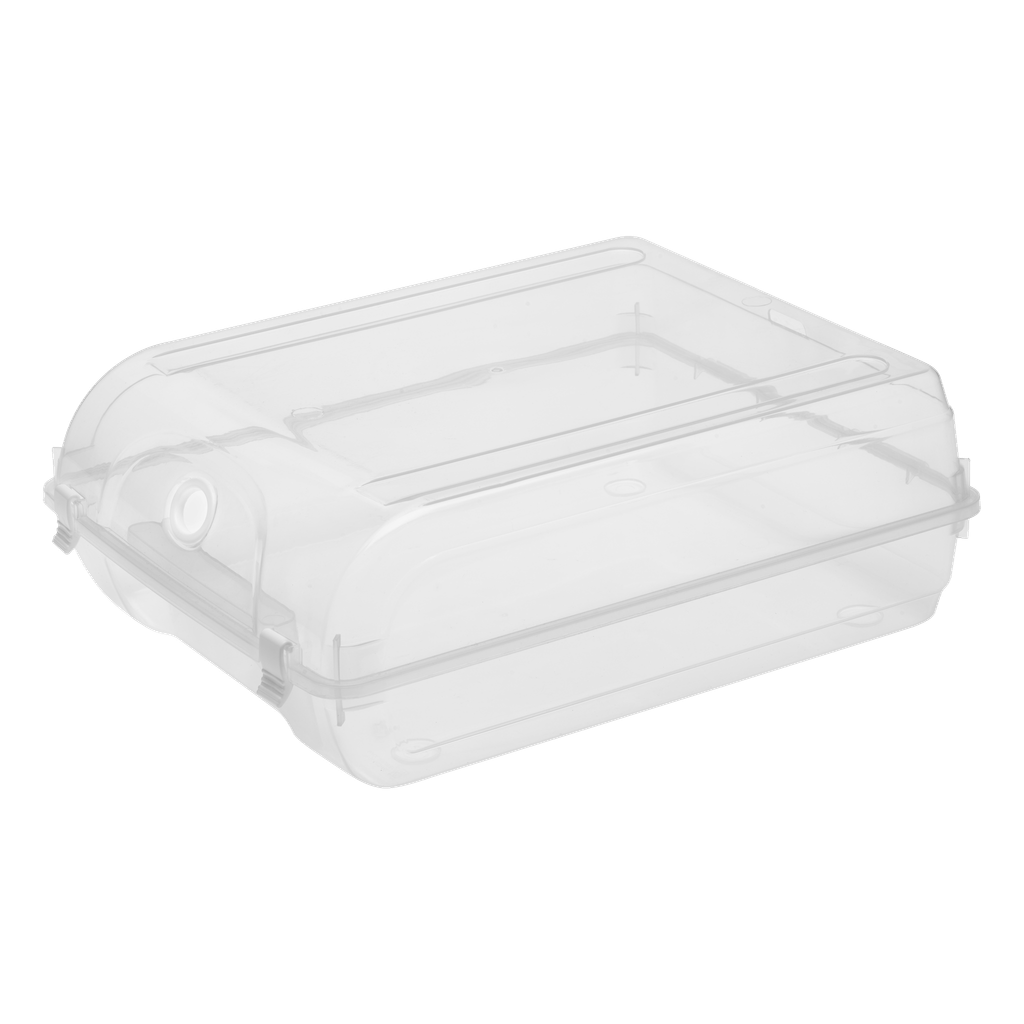 Hard Head Förvaringslåda för skor