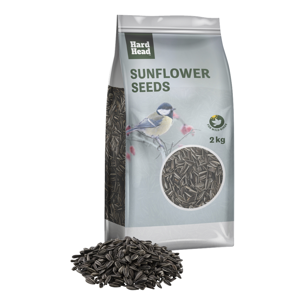 Hard Head Solsikkefrø