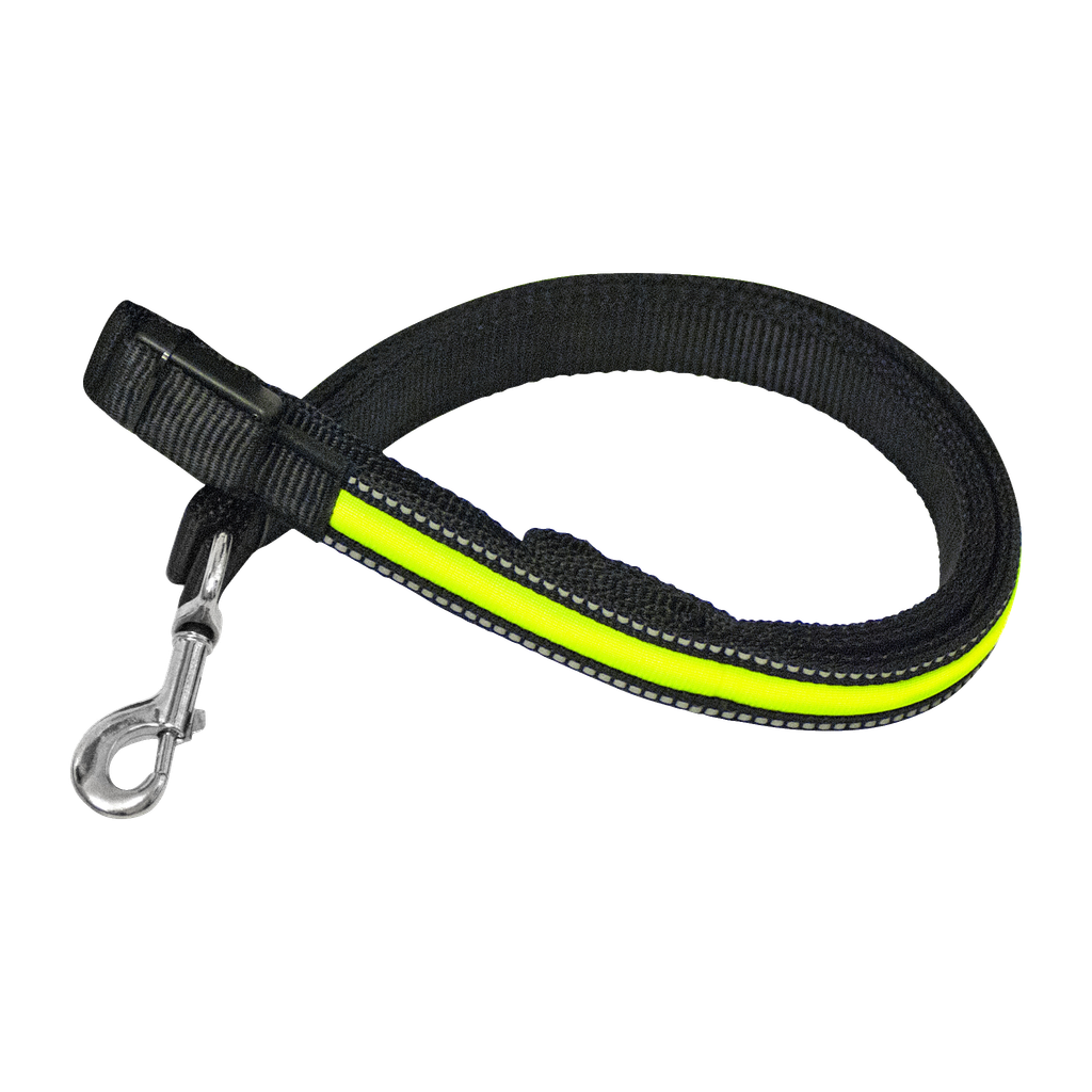 Petcare Hundkoppel LED