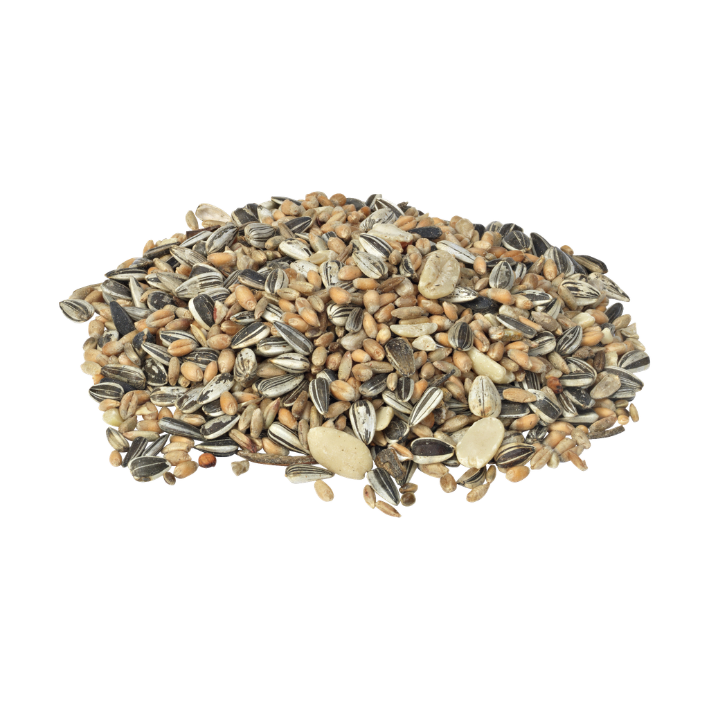 Axley Villfuglblanding