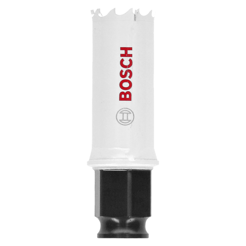 Bosch Hullsag